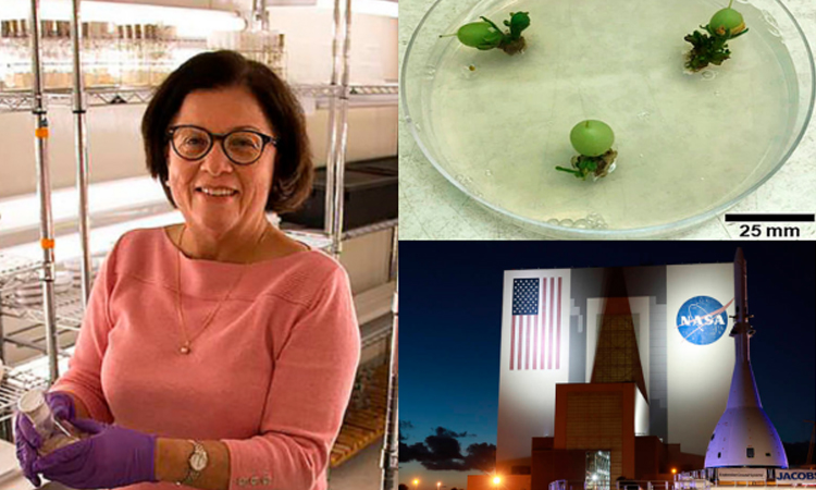 Martha Lucía Orozco, la colombiana que crea para la Nasa plantas de tomate La Nota Positiva