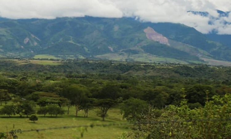 Colombia se comprometerá a reducir un 50% la deforestación para el 2022 La Nota Positiva