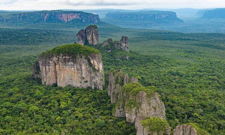 Colombia firmará el Acuerdo Escazú, para proteger a los líderes ambientales del país La Nota Positiva
