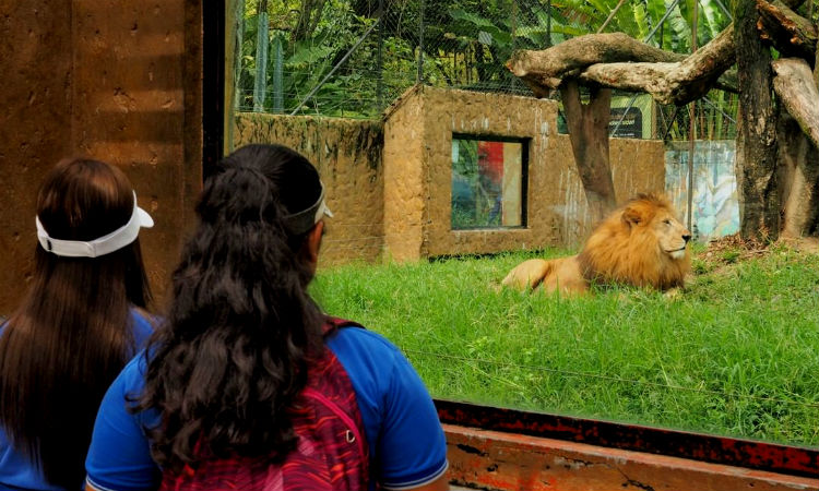 Zoológico colombiano no tendrá más animales en cautiverio, ¡tienen una idea mejor!