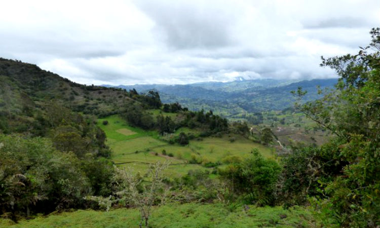 Trío de ecosistemas son declarados nuevas áreas protegidas en Colombia