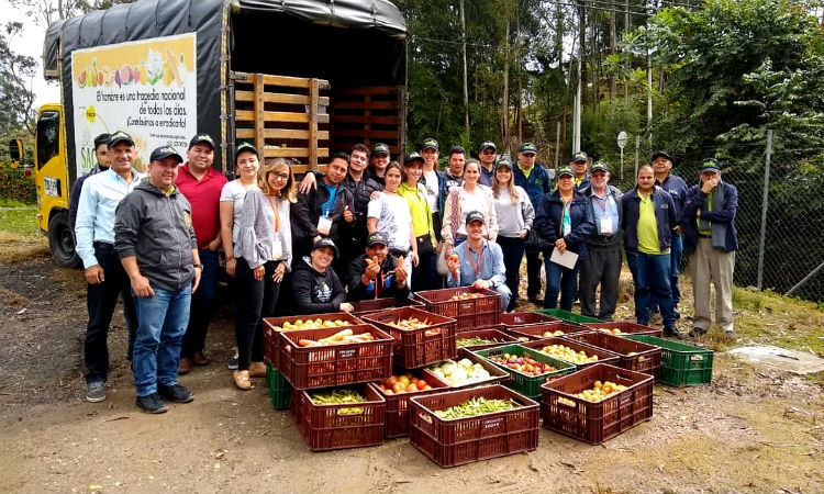 El reto para mejorar los bancos de alimentos en Colombia y así mitigar la desnutrición