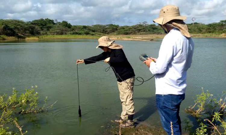 Crean sondas de bajo costo para monitorear calidad del agua en Colombia