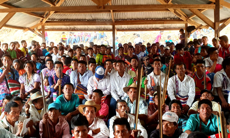 La comunidad indígena colombiana que le ganó a la minería, ¡conservan su territorio!