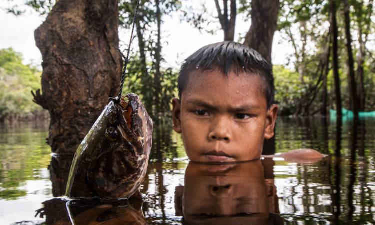 Indígenas monitorean sus peces para garantizar su conservación, ¡Un paraíso colombiano!