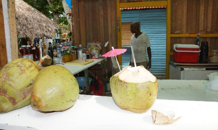 La fruta made in Colombia que le hace competencia al aguacate en exportaciones
