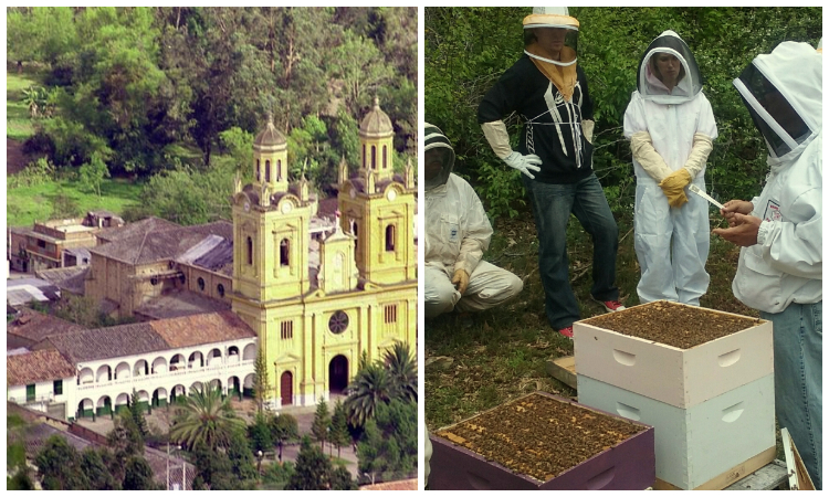 Boyacá le apuesta a la apicultura y el cuidado de las abejas