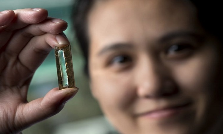 Joven estudiante de doctorado desarrolla batería que podría durar 400 años