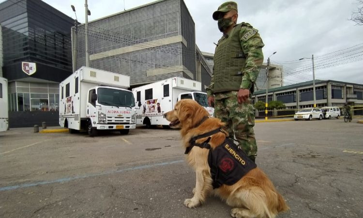 Así funcionan las ambulancias del Ejército para los Héroes Caninos