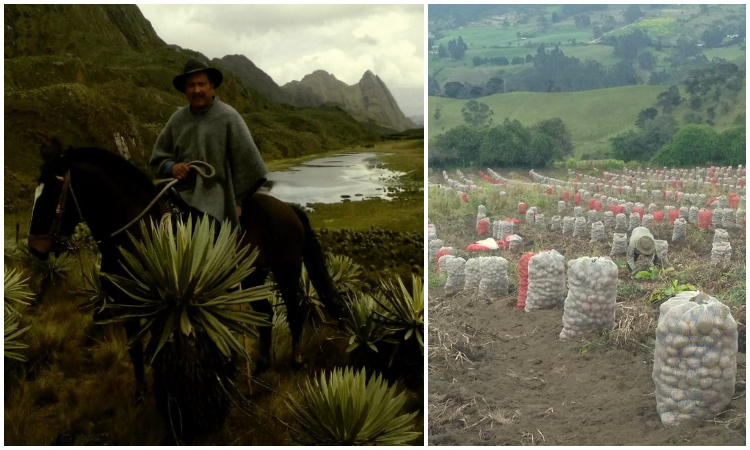 Campesino del Sumapaz donó 5 toneladas de papa a los más necesitado