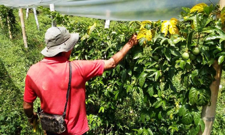 App colombiana que ayuda a financiar el agro gana importante premio latinoamericano