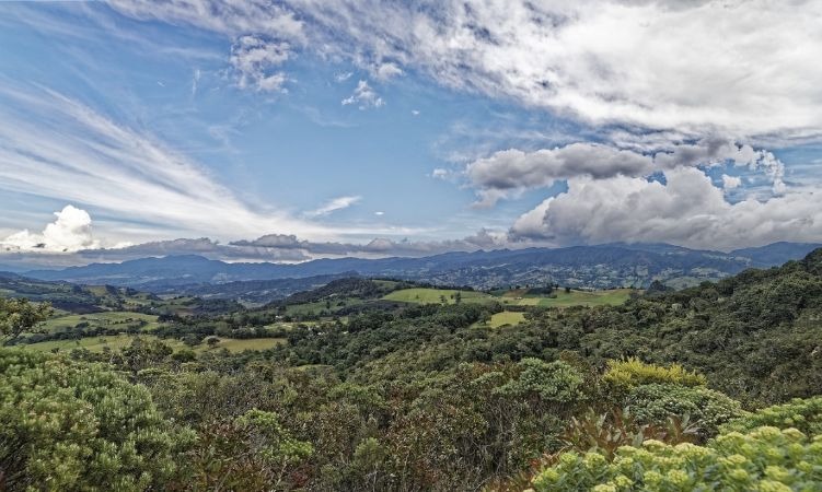 Colombia eliminará la producción de aislantes térmicos que agotan la capa de ozono