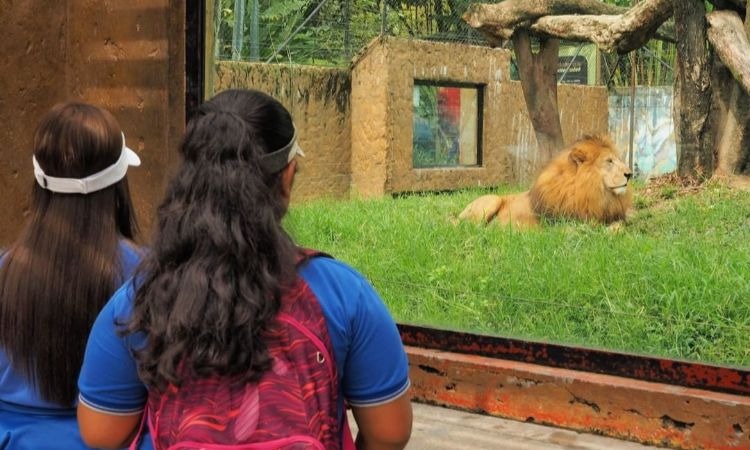 Zoológico de Medellín ahora se convierte en parque de conservación ¿Qué significa?