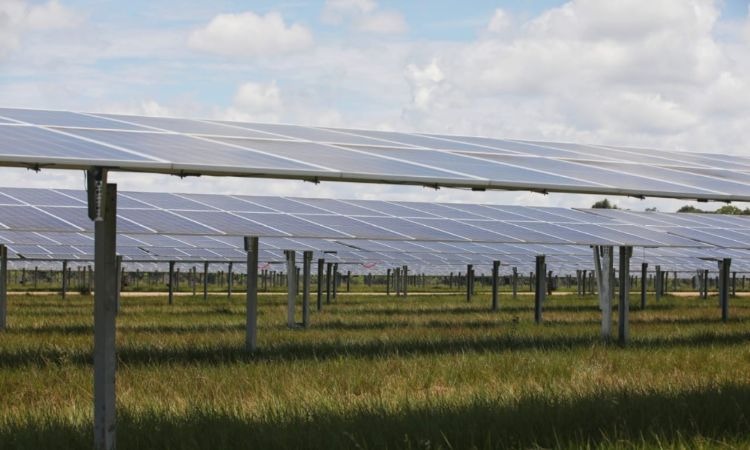 Optimismo por nueva planta de energía solar que estrena Colombia