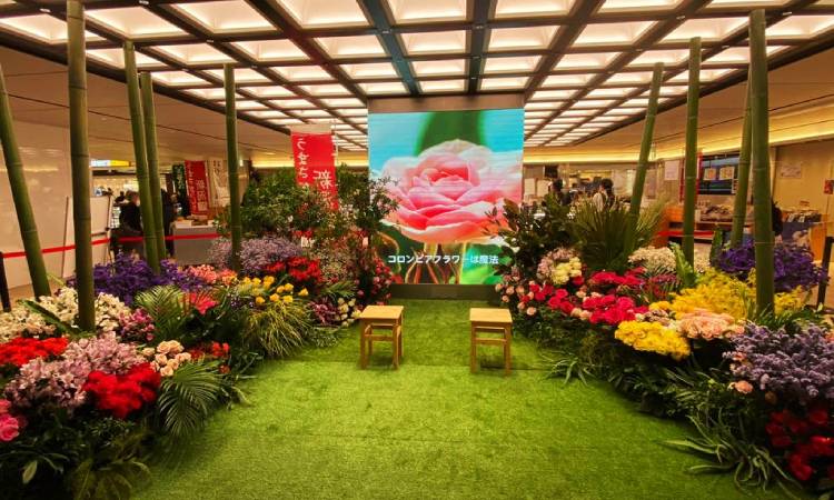 Más de mil metros cuadrados del metro de Tokio son adornados con flores colombianas