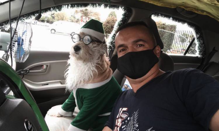 Perro taxista alegra la Navidad de quienes usan su servicio en las calles colombianas