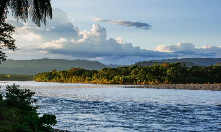 Noruega continúa haciendo millonarios aportes para combatir la deforestación en Colombia