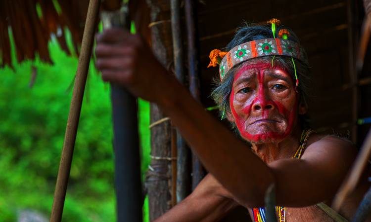 Tribu del Amazonas publica enciclopedia con sus conocimientos en medicina natural