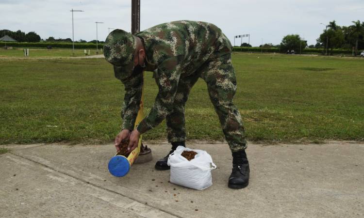 Soldados colombianos crean e instalan dispensadores de comida para animales abandonados