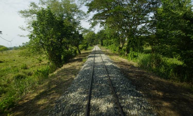 Se inicia proceso para la reactivación del tren en Colombia