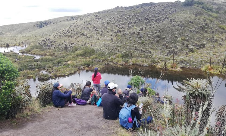 Cuidar los humedales en Bogotá será una realidad gracias a una misión de expertos