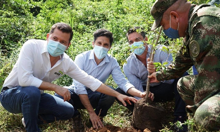 La meta de Colombia es sembrarán 70 millones de árboles este año