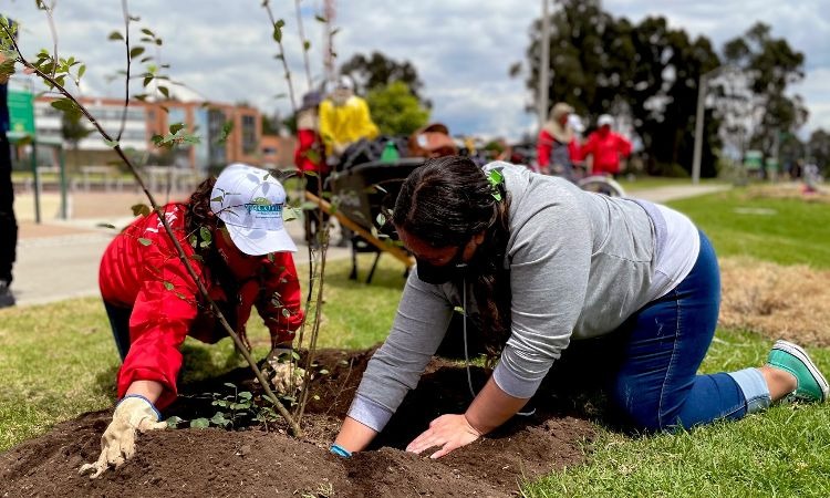La siembra de árboles en un parque de Bogotá como parte de un noble homenaje