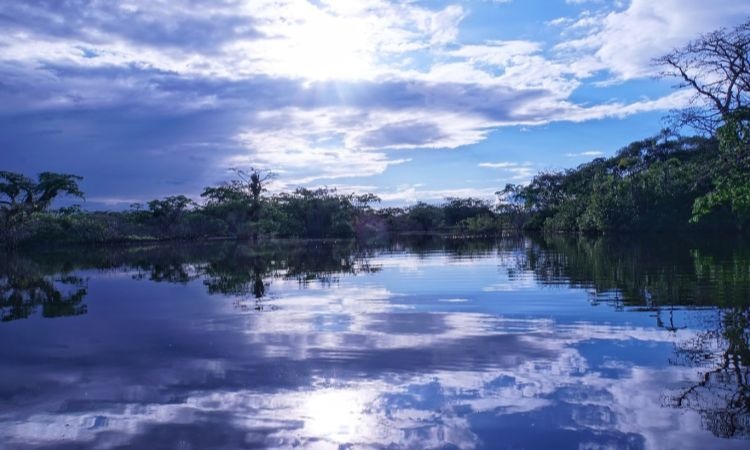 Francia financia proyecto por la protección de 17 millones de hectáreas en Amazonía