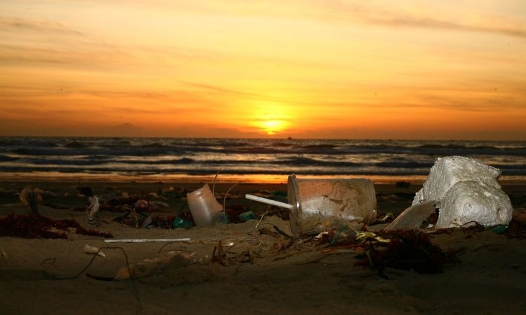 Playas libres de plástico, un proyecto que avanza firme en el Senado