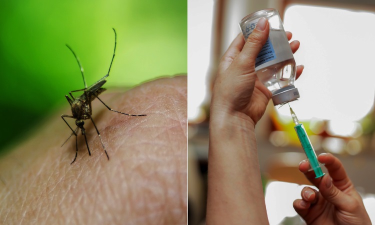 Primera vacuna contra la malaria con un porcentaje de efectividad exigido por la OMS