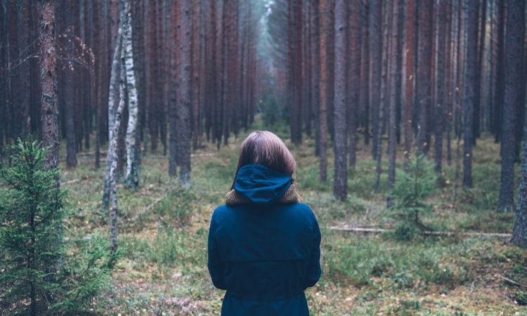 Estudio revela aumento del interés de las personas por el cuidado de la naturaleza