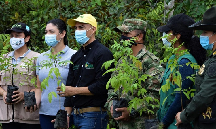 Colombia reverdece, ya hay 60 millones de nuevo árboles sembrados en el país