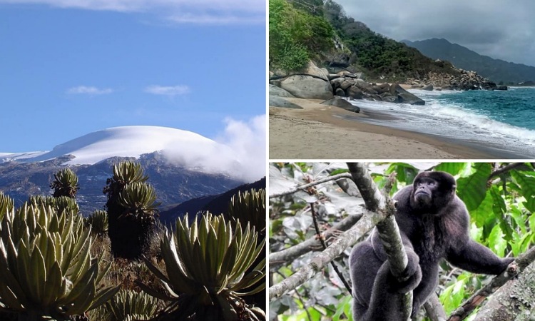 Latinoamérica y el Caribe cuentan con la mayor cantidad de áreas protegidas en el mundo
