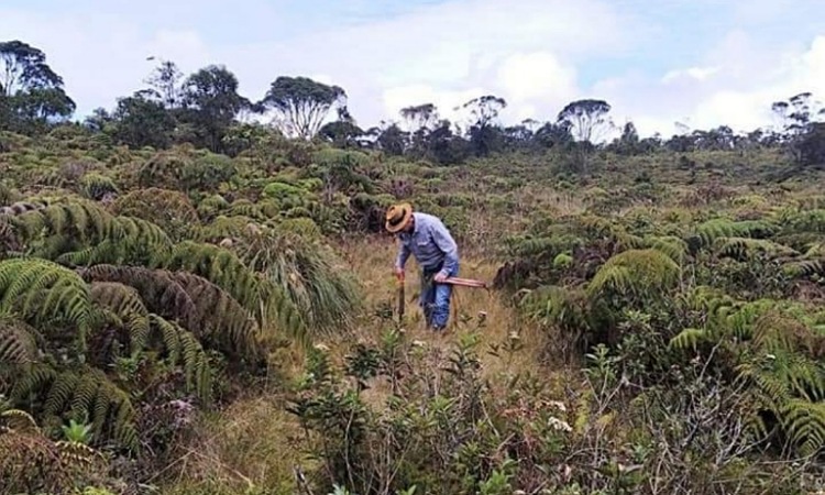 Conoce el páramo más pequeño que tiene Colombia