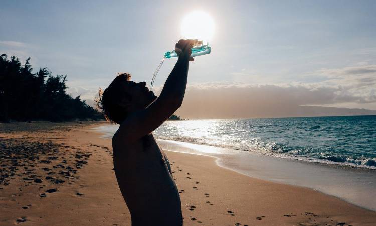 Según Harvard, estas son las dos únicas bebidas saludables, además del agua