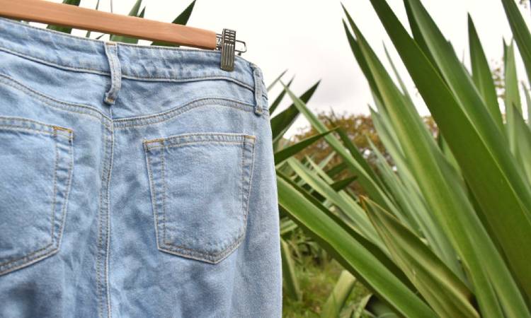 Investigadores colombianos fabrican jeans a base de fibras de fique