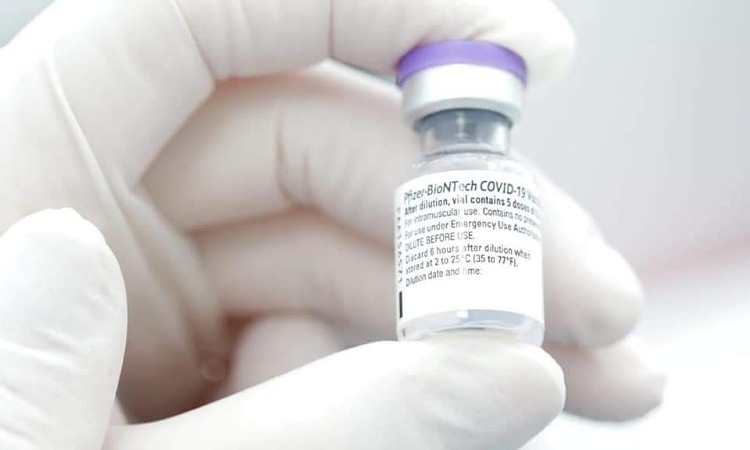 Según estudio, vacunas de Pfizer y Moderna podrían generar una inmunidad de largo plazo