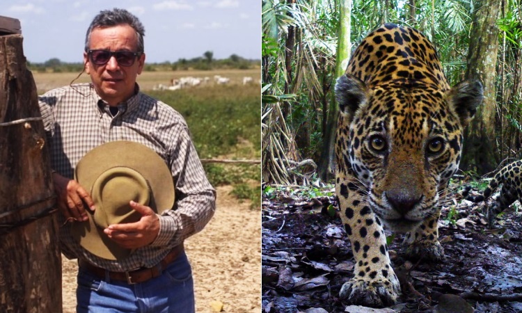 Ganadero colombiano se convirtió en el protector del jaguar, ¡lo adora!