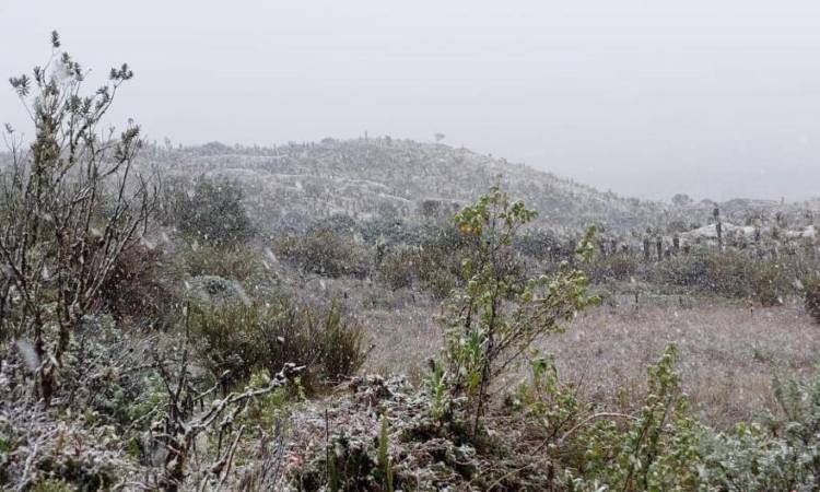 ¡Como de película! Después de 60 años cayó nieve en el páramo de Sumapaz