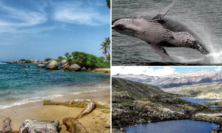 Colombia lanza su guía de turismo de naturaleza, una forma de conocer el país