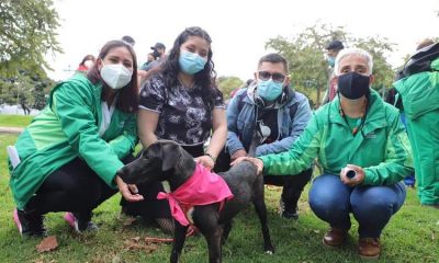 Tener una mascota ayuda a mejorar la salud mental de las personas