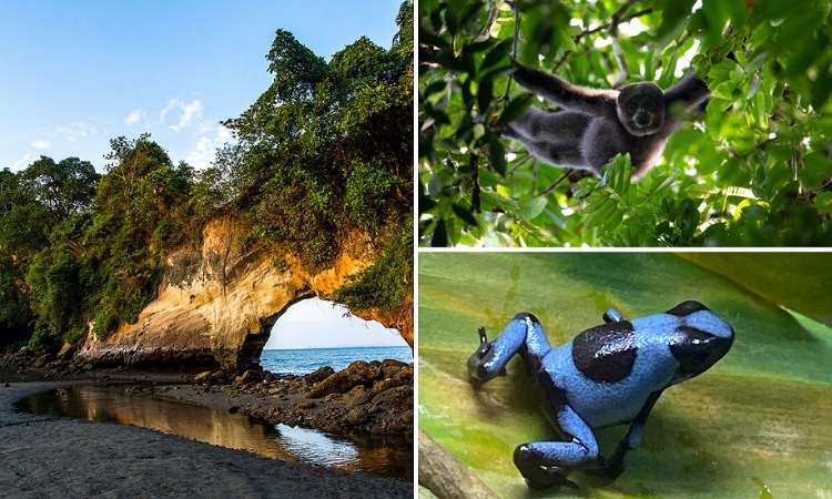 Los 5 destinos biodiversos que todo colombiano debe conocer