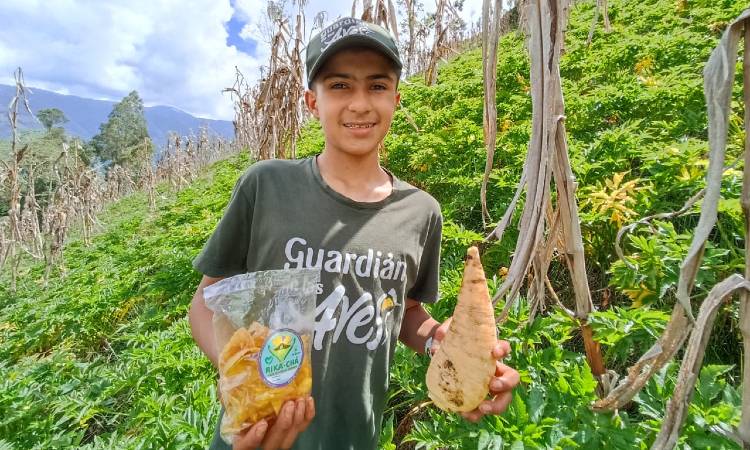 Niño campesino creó emprendimiento con snacks de arracacha