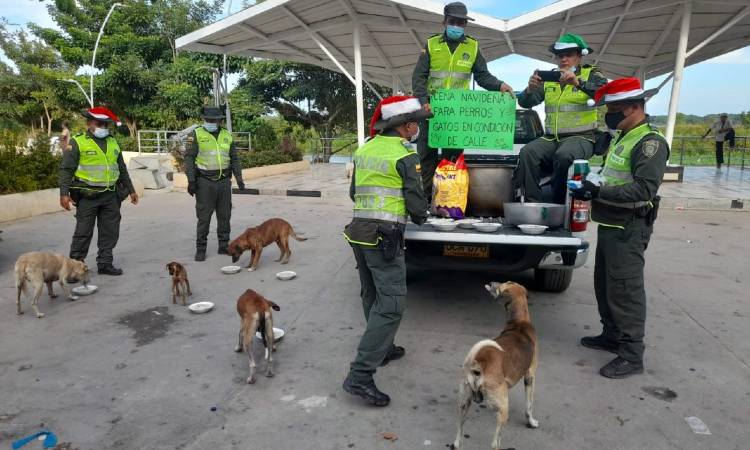 Policías ofrecieron "cena navideña" para animalitos de la calle