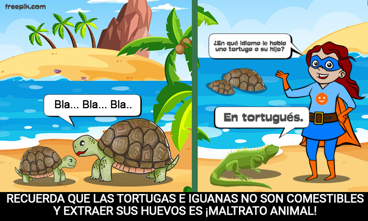 Las tortugas e iguanas no son comestibles y extraer sus huevos es maltrato animal