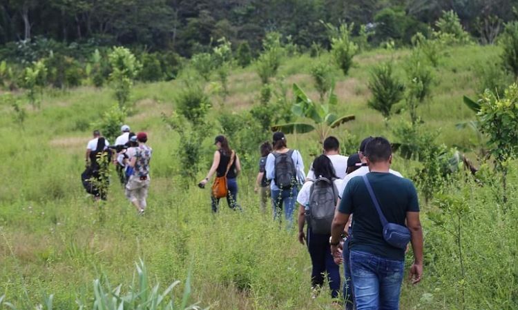 Así puedes aplicar a las becas para tesis de pregrado y maestría sobre biodiversidad