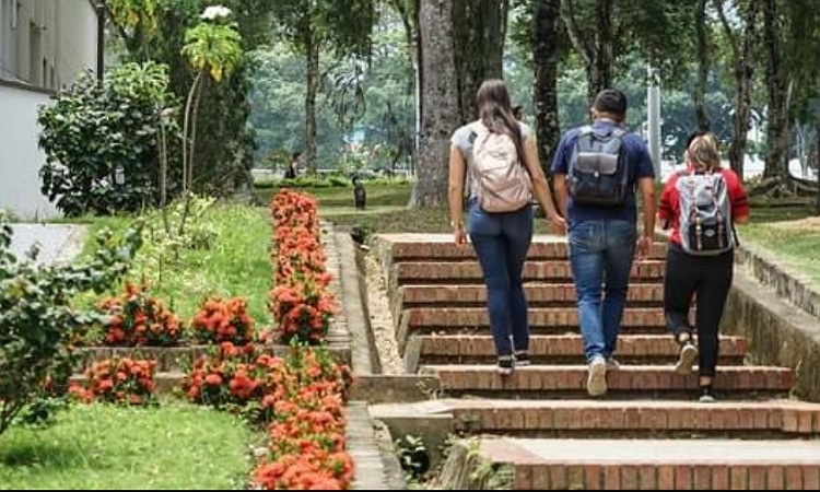 Así puedes aplicar a las becas de educación superior de Generación E