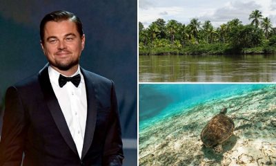 Leonardo DiCaprio y su amor por esta isla colombiana que es un nuevo hito ambiental