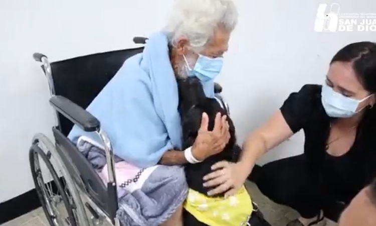 El emotivo reencuentro entre un perro y su dueño en hospital de Armenia