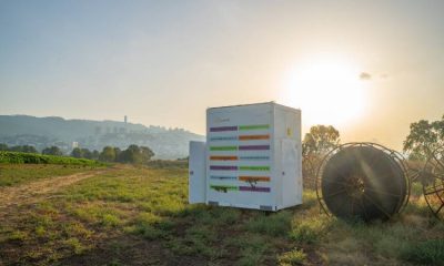 Crean colmenas robotizadas para ayudar a la preservación de las abejas